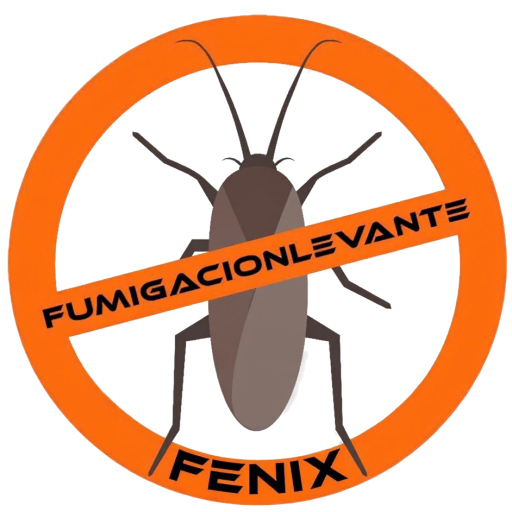 Levante Desinfeccion
